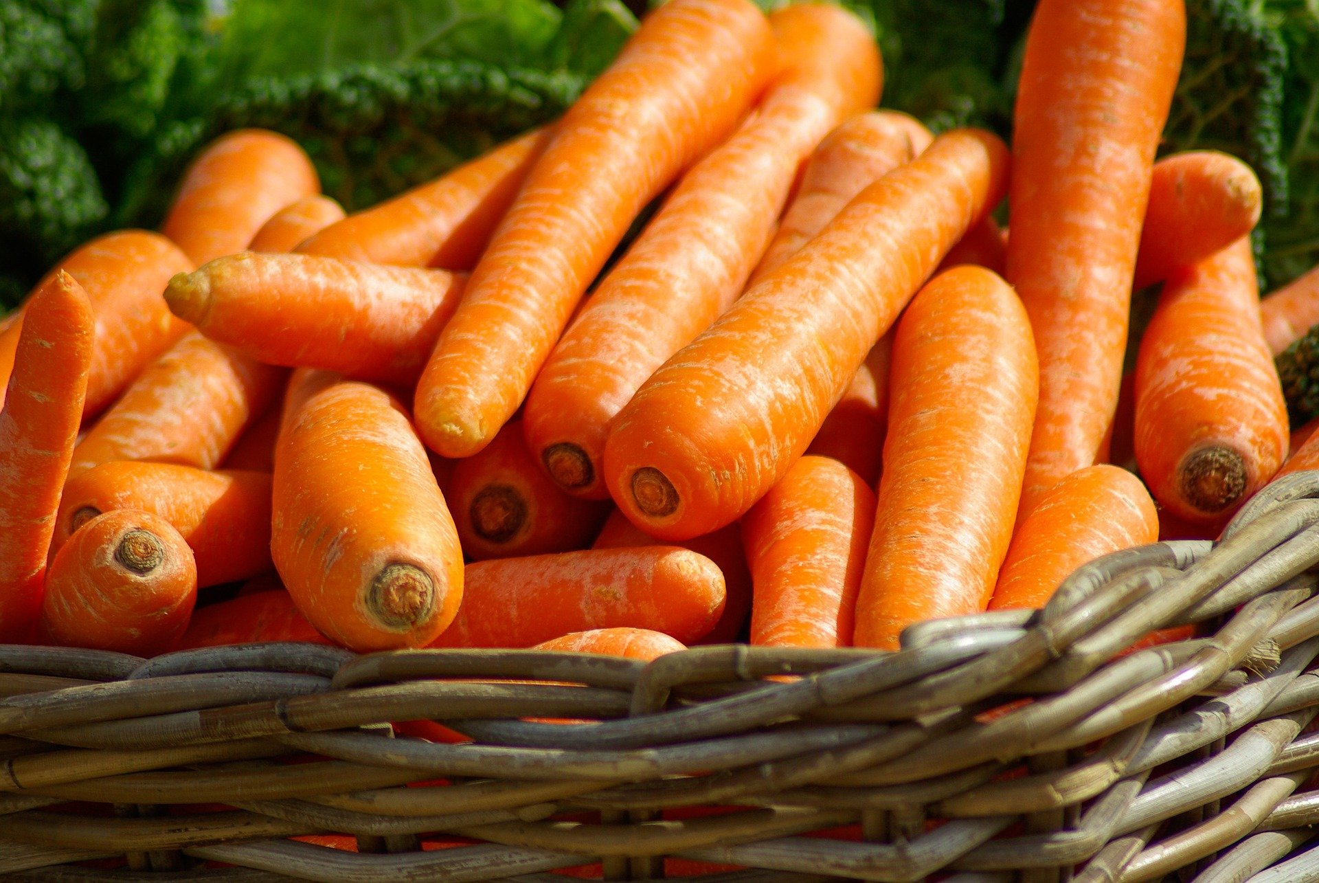 viele orange Möhren liegen in einem Korb